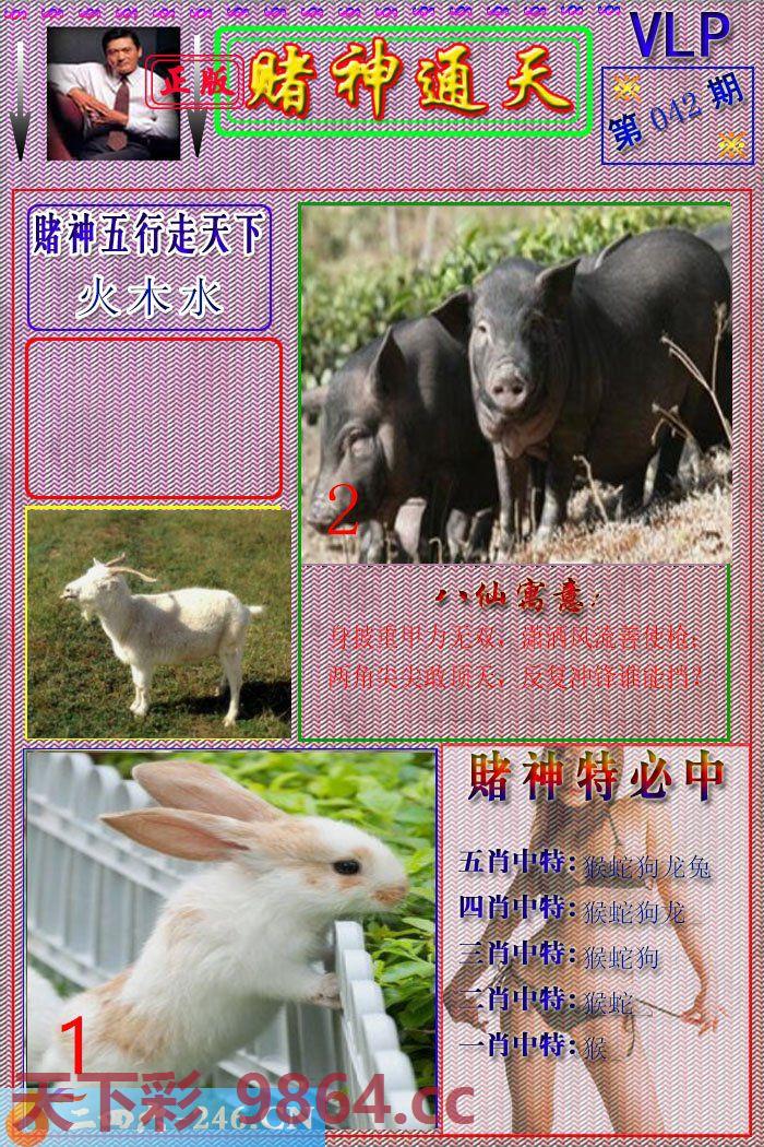 ：赌神通天报